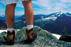 Introducing the "Brain Exchange"