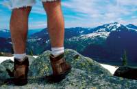 Introducing the "Brain Exchange"