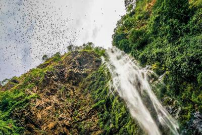 Thousands of bats fly overhead near the Wli Waterfalls in the Volta Region Ghana. This photo was shortlisted as part of Verge&rsquo;s annual photo contest.
