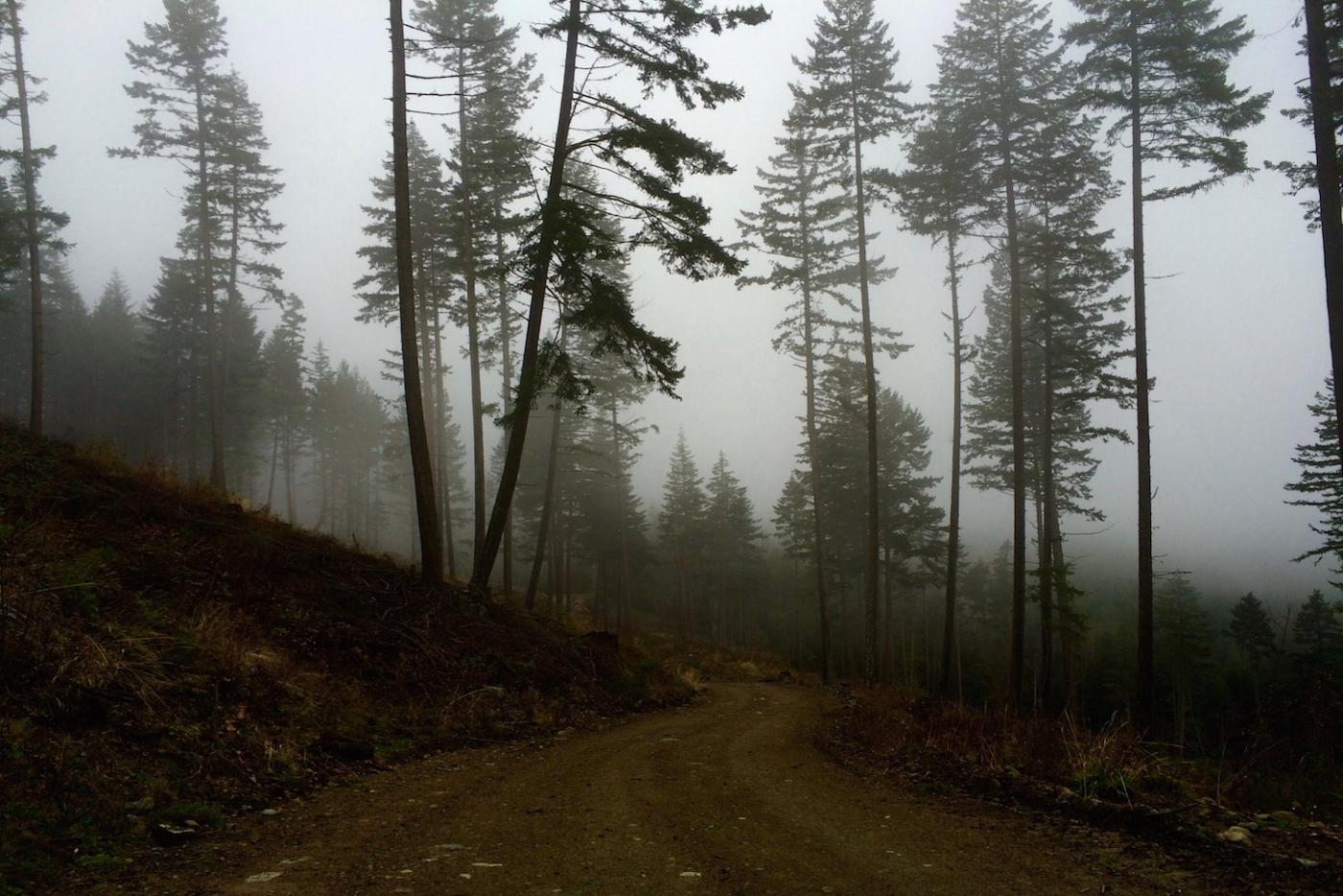 Why We Can't Be Afraid of Exploring the World