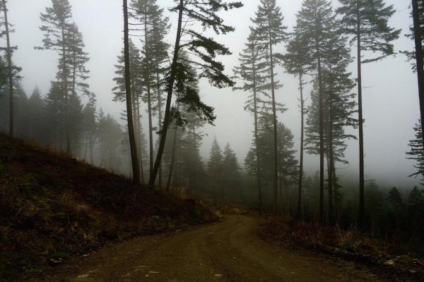 Why We Can't Be Afraid of Exploring the World