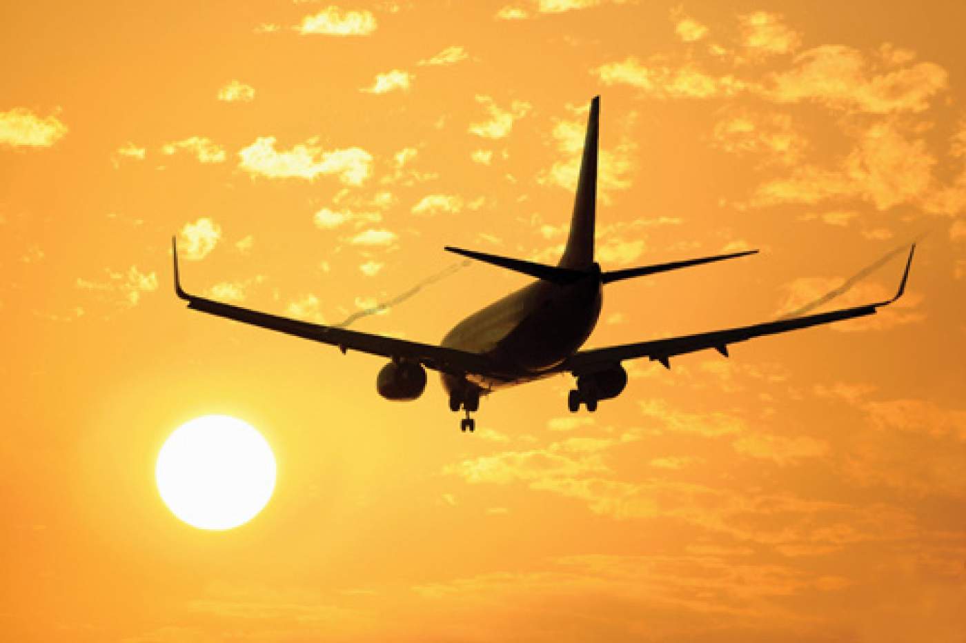 A Travellers' Guide to Going Carbon-Neutral