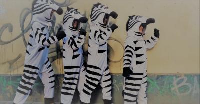 Yes, it's true&mdash;everything IS better with zebras!