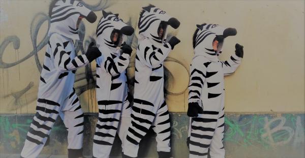 Yes, it's true&mdash;everything IS better with zebras!