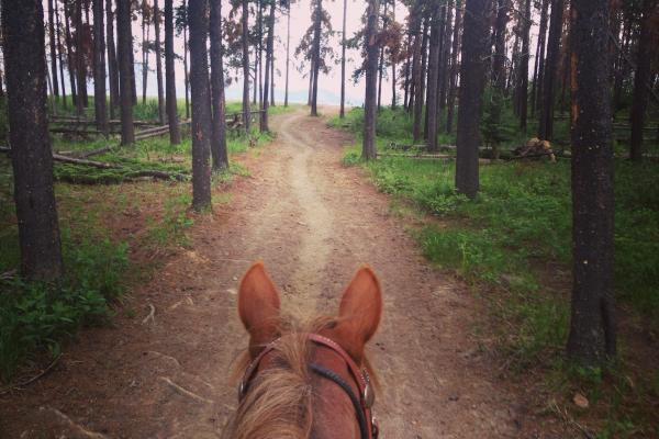 Lessons From Working "Abroad" in Canada