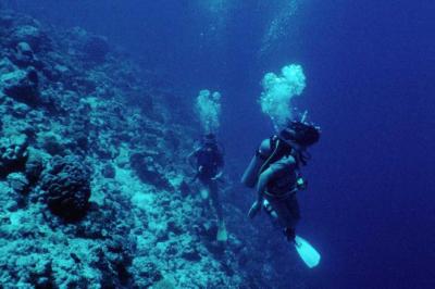 Indonesia's New Marine Ambassadors